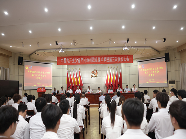 高举团旗跟党走 开拓进取勇担当——共青团U8国际第三次代表大会隆重召开