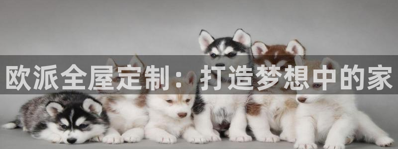 BB电子骗局
