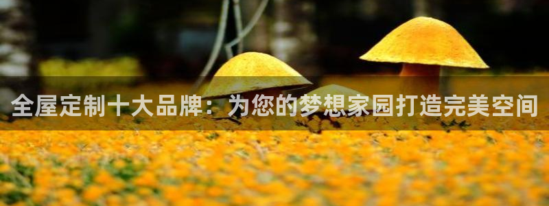 bb电子哪个平台好一点