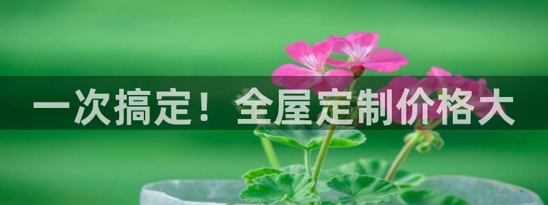 bb电子哪个平台好用
