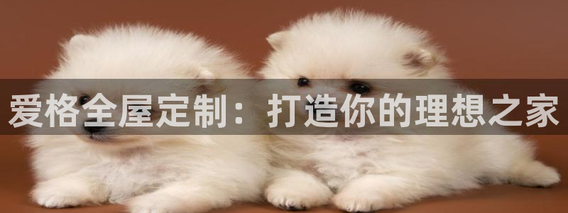 bb电子为什么总赢不了
