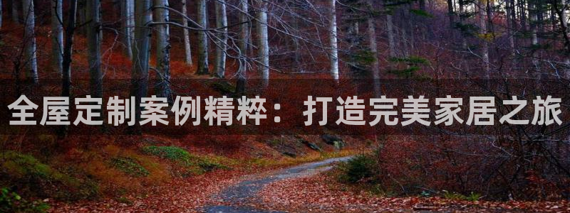 bb电子怎么英语怎么说