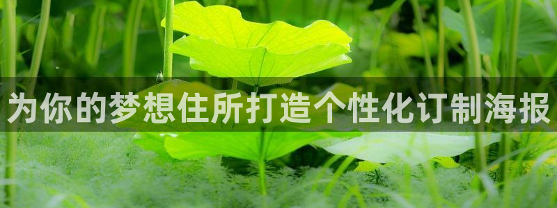 bb电子哪个平台好点