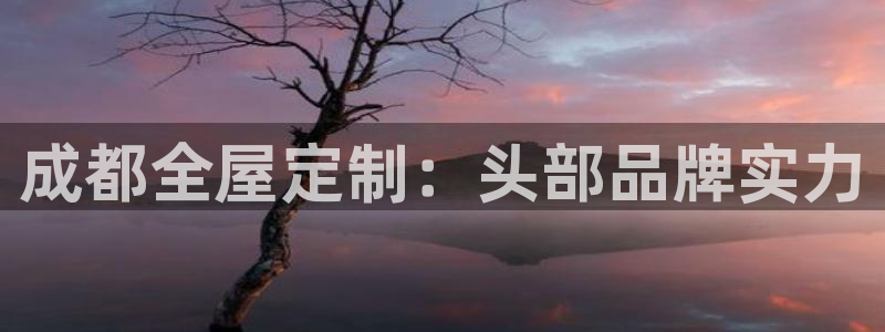 BB电子锁怎么接电