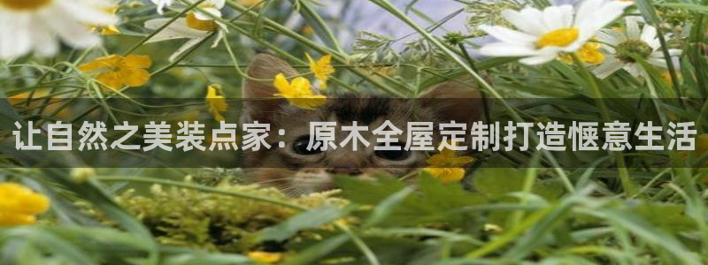 bb电子怎么样