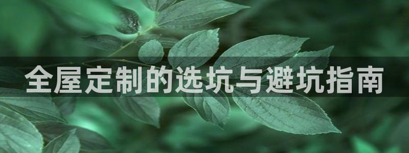 网上bb电子为什么那么假