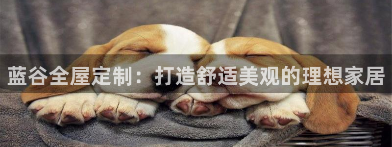 bb电子糖果哪个网站好mg官方电子平台