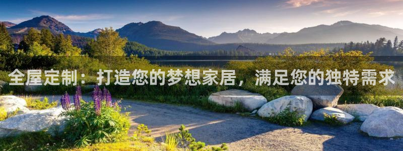 bb电子哪个平台好点