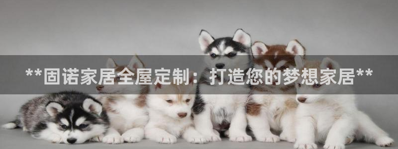 BB电子烟官网