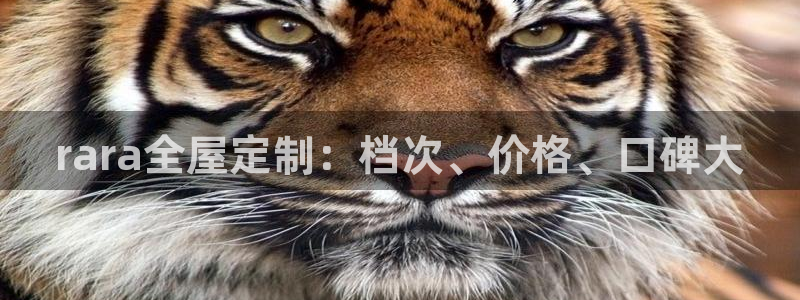 bb电子为什么总赢不了