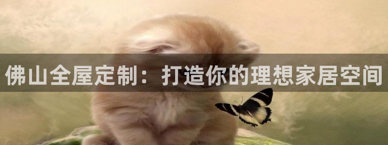 bb电子怎么赢