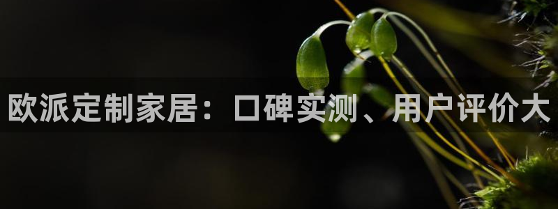 bb电子怎么英语怎么说
