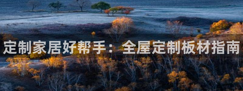 bb电子哪个平台好啊