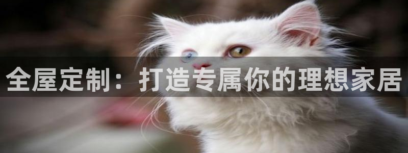 bb电子哪个平台好用点