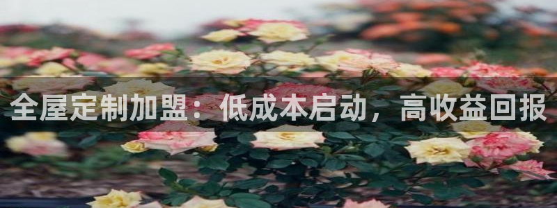 bb电子哪个平台好啊