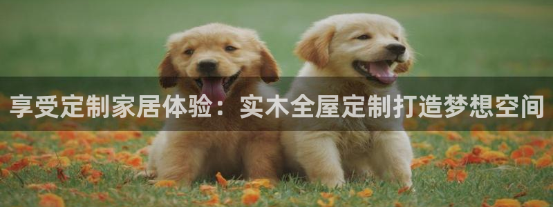 BB电子怪物派对