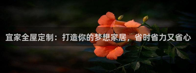 网上bb电子为什么那么假