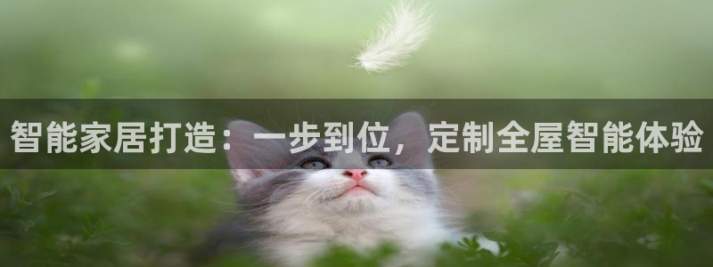 bb电子哪个平台好用一点