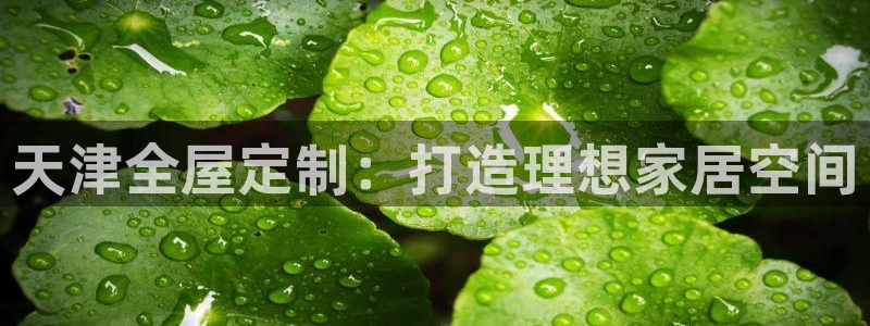 BB电子烟官网