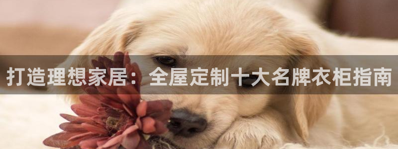 bb电子mini彩金掉落规则