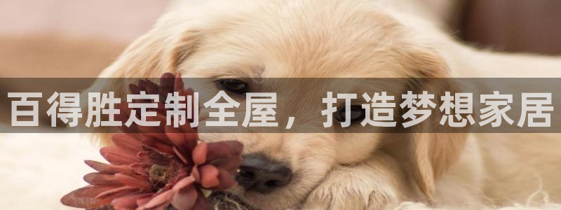 bb电子哪个游戏好赢钱啊知乎