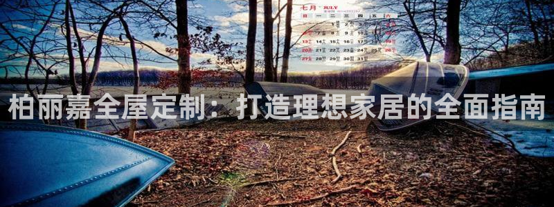 bb电子哪个平台好用点