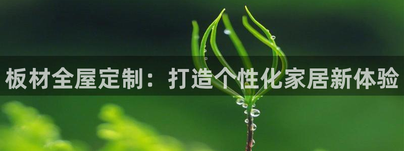 bb电子哪个平台好