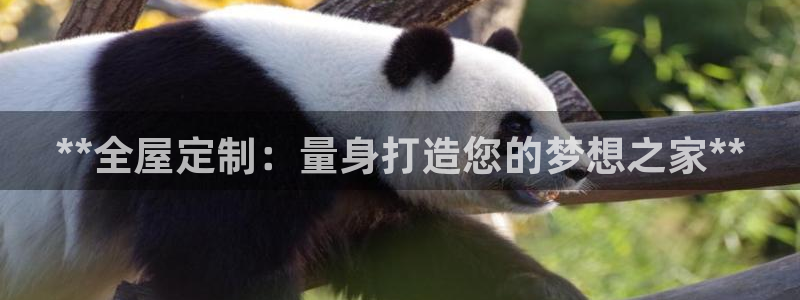 网上bb电子为什么那么假的