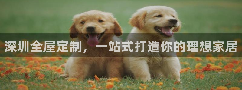 bb电子怎么赢