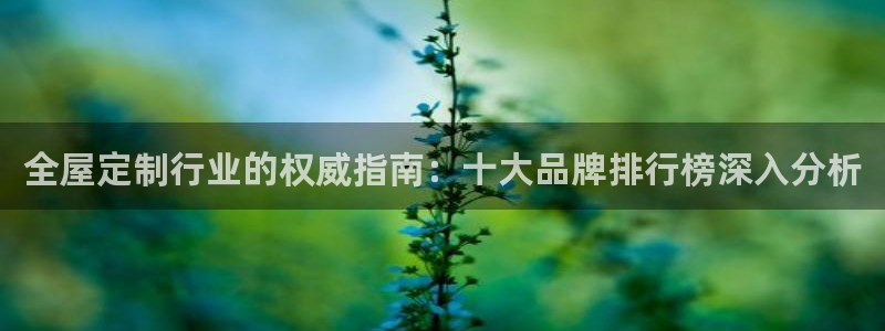 bb电子哪个平台好用