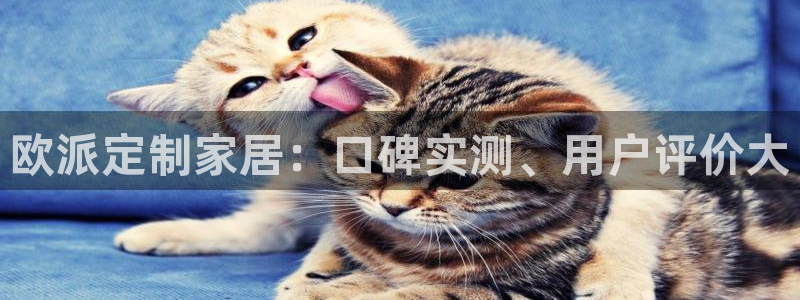 bb电子教育平台