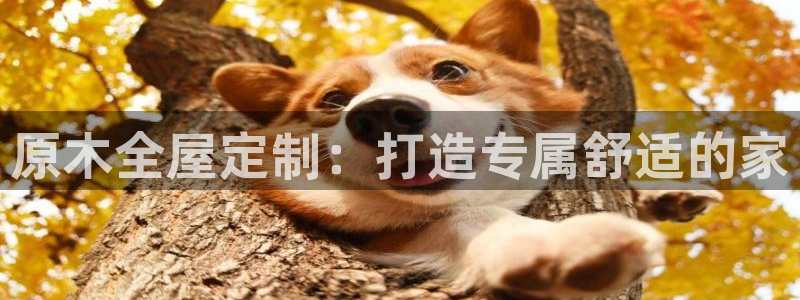 bb电子爆奖