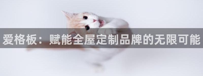 bb电子哪个平台好用