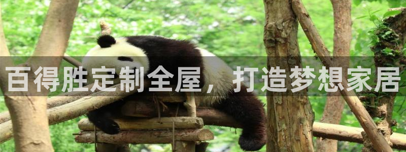 bb电子哪个平台好用点