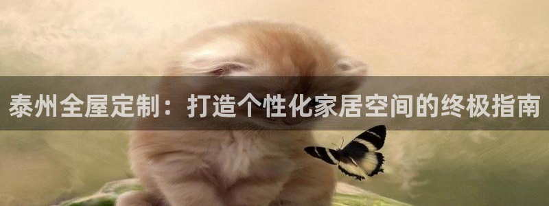 bb电子怎么赢