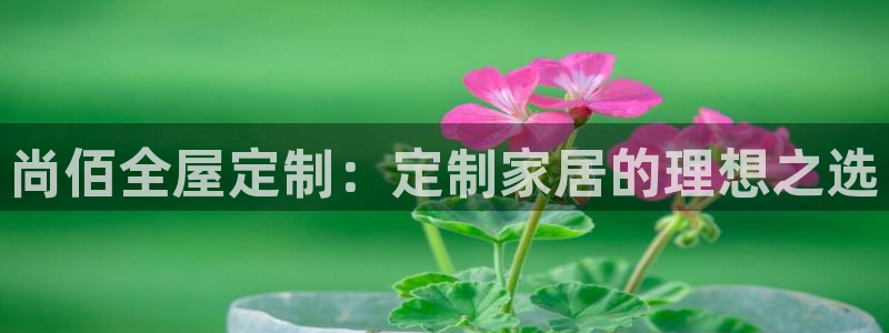 BB电子开户
