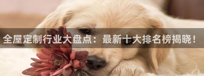 BB电子烟官网