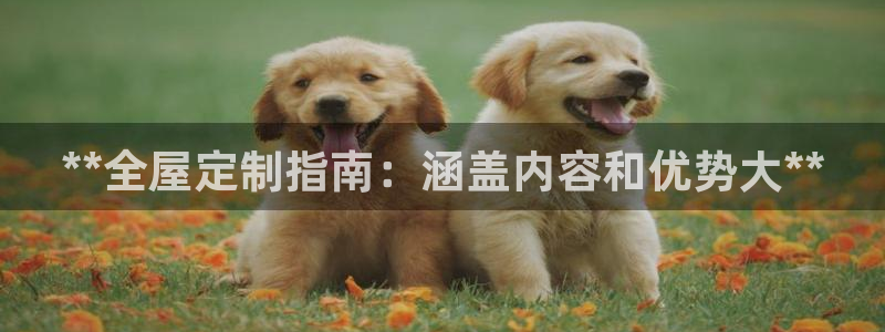 网上bb电子为什么那么假
