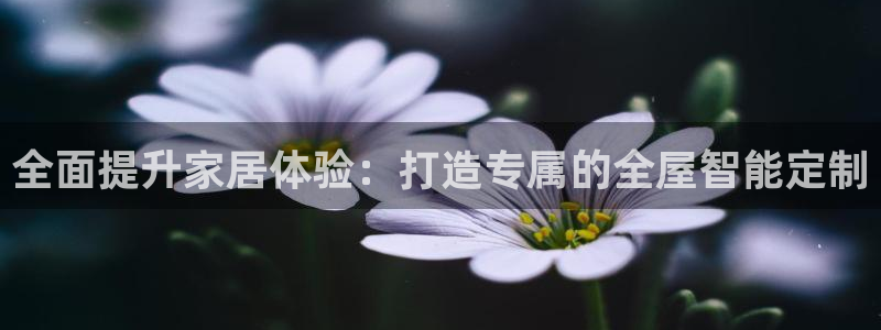 bb电子哪个平台好用一点