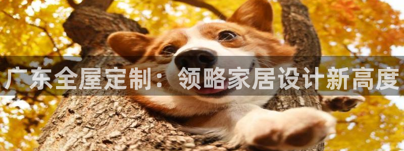 bb电子哪个游戏好赢钱一点的