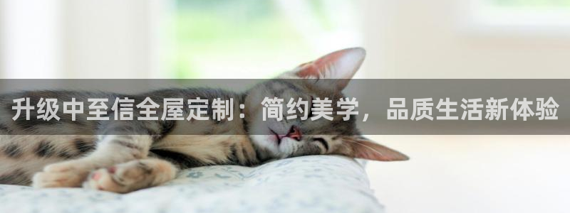 bb电子中了Major怎么算