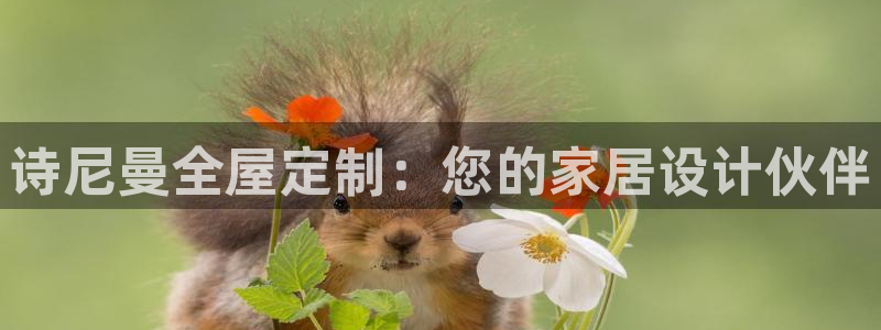 bb电子怎么英语怎么说