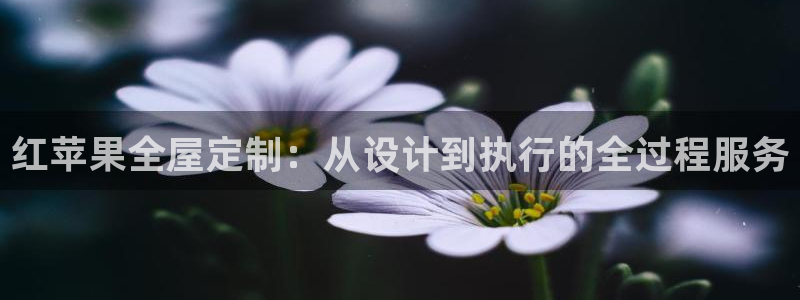 网上bb电子为什么那么假的