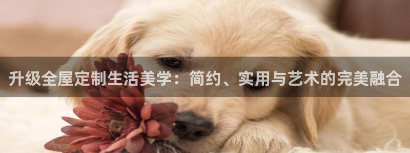 bb电子哪个平台好一点