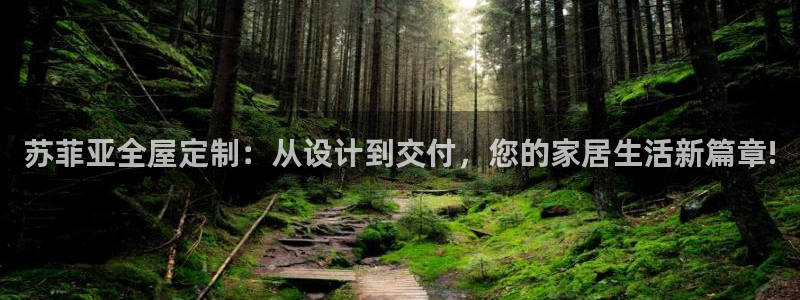 BB电子烟官网