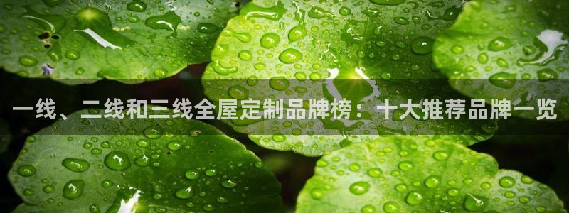 bb电子哪个平台好用