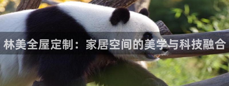 BB电子骗局