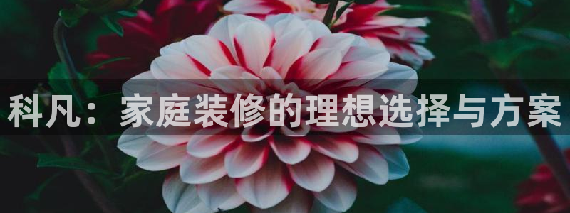 BB电子烟官网