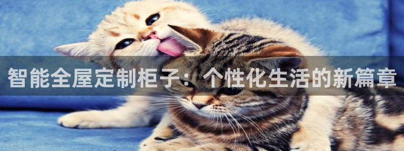 bb电子哪个平台好啊