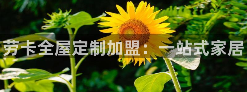 bb电子教育平台